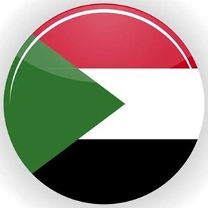 A closeup shot of a female in a wheat field on a sunny day