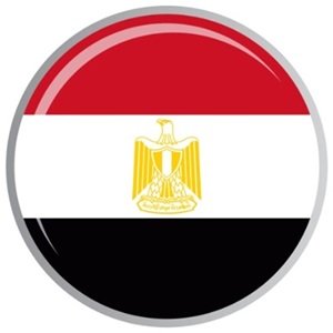 A closeup shot of a female in a wheat field on a sunny day